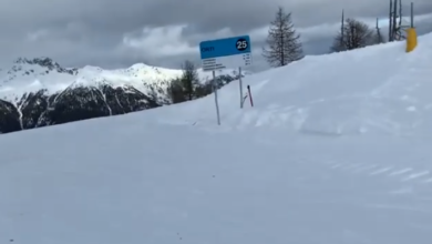 Pista Nera Orti Marilleva Numero 25
