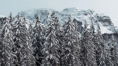 Apertura impianti Madonna di Campiglio