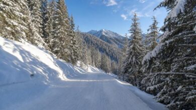 Piste del comprensorio Corviglia Piz Nair sopra St. Moritz