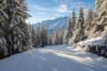Giro Monterosa Ski con gli sci: guida 2026/27