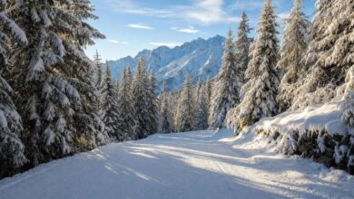 Sciatori nel settore 3 Valli del Monterosa Ski tra Champoluc, Gressoney e Alagna