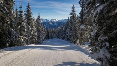 Piste e impianti del Monte Pora nella stagione sciistica 2026/27