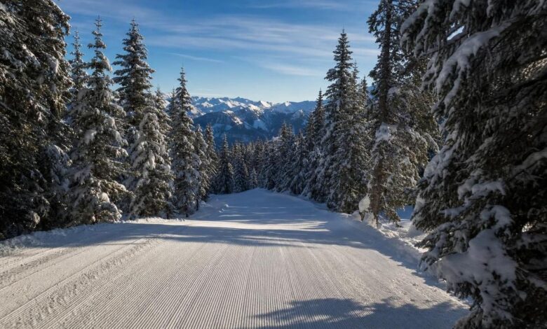 Piste e impianti del Monte Pora nella stagione sciistica 2026/27