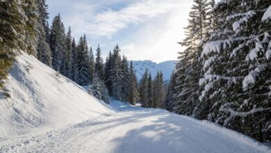 Piste da sci e seggiovie di Spiazzi di Gromo in inverno