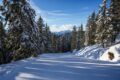 Squaw Valley (Palisades Tahoe): guida sci 2026/27