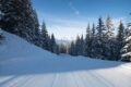 Corvatsch Snow Night: vale il viaggio solo se cerchi vero sci notturno