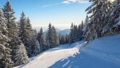 Sciatori sulle piste di Kirchberg collegate al comprensorio KitzSki in Tirolo