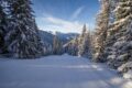 Passo Tonale e Presena: comprensorio comodo per weekend e sciatori intermedi