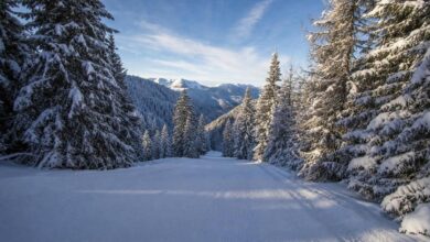 Sciatori sulle piste del Passo Tonale con il ghiacciaio Presena sullo sfondo