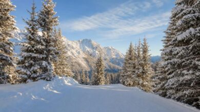 Panoramica delle piste di Ravascletto Zoncolan in Carnia durante la stagione invernale